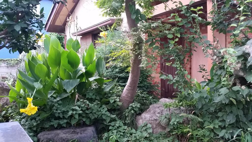 "Cherry House" Is Direct To Narita,Haneda Ap, Disney, Asakusa, Skytree Tower, Tokyo ماتسودو المظهر الخارجي الصورة