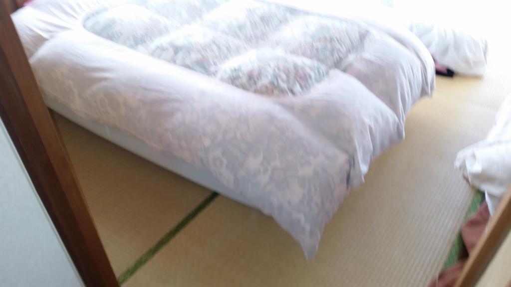 "Cherry House" Is Direct To Narita,Haneda Ap, Disney, Asakusa, Skytree Tower, Tokyo ماتسودو المظهر الخارجي الصورة