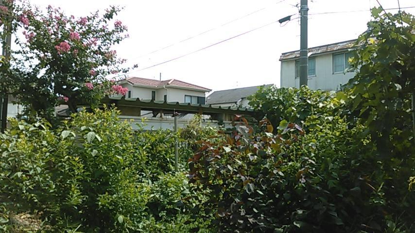 "Cherry House" Is Direct To Narita,Haneda Ap, Disney, Asakusa, Skytree Tower, Tokyo ماتسودو المظهر الخارجي الصورة