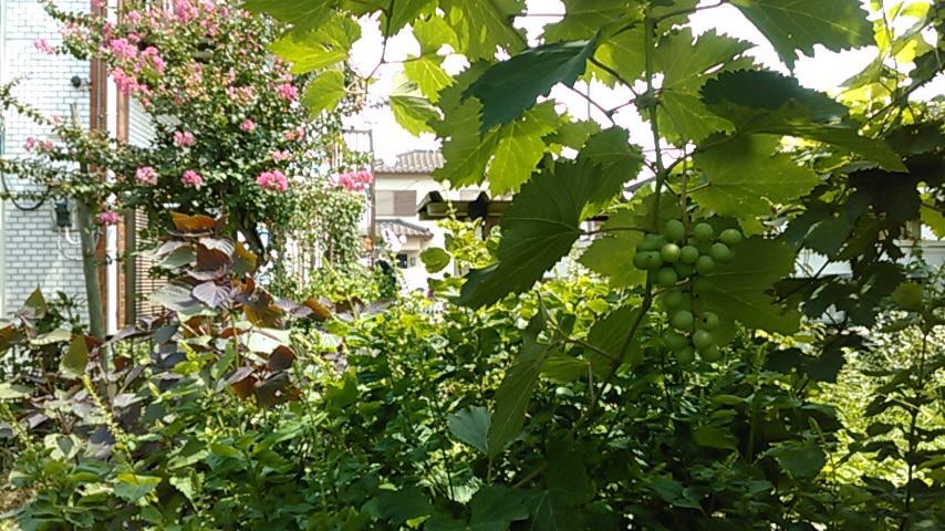 "Cherry House" Is Direct To Narita,Haneda Ap, Disney, Asakusa, Skytree Tower, Tokyo ماتسودو المظهر الخارجي الصورة