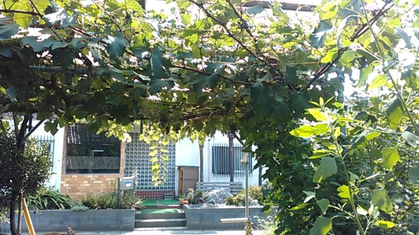 "Cherry House" Is Direct To Narita,Haneda Ap, Disney, Asakusa, Skytree Tower, Tokyo ماتسودو المظهر الخارجي الصورة